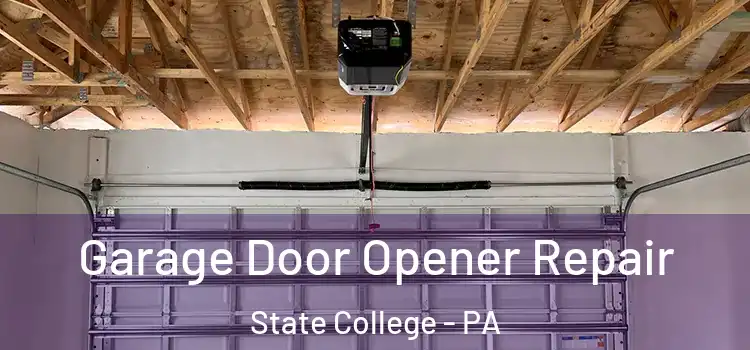 Garage Door Opener Repair State College - PA