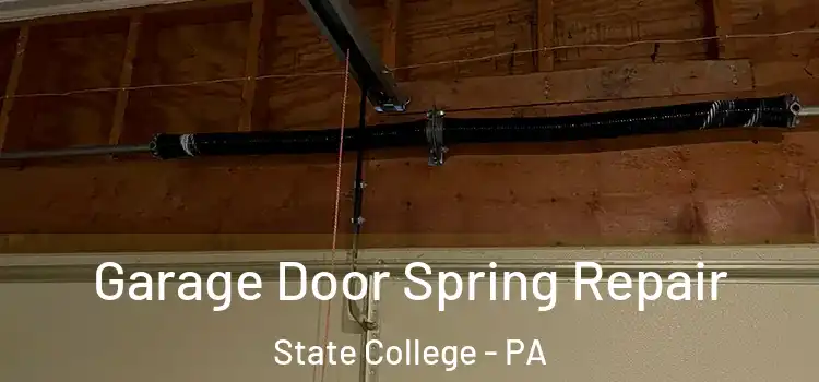  Garage Door Spring Repair State College - PA