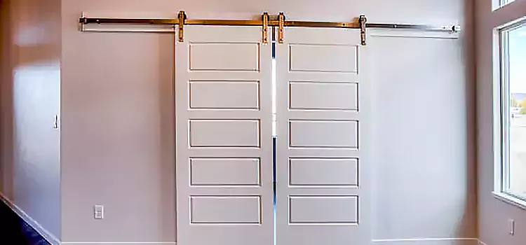Glass Barn Door with Installation Hardware Kit State College