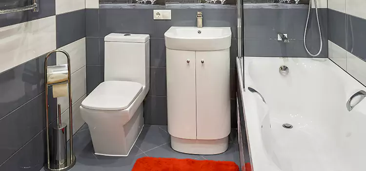Hansgrohe Shaving Mirror State College