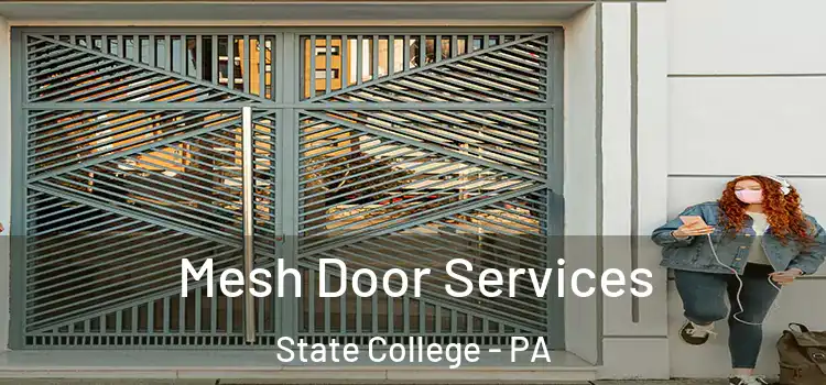Mesh Door Services State College - PA